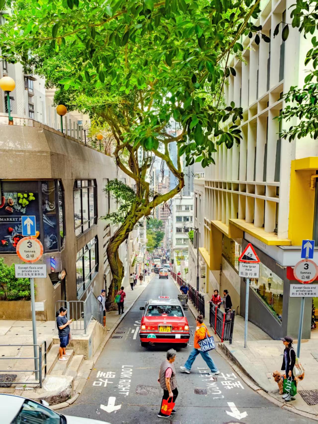 27fall港硕申请｜深度解析香港硕士录取核心规则文章封面